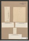 Pleurosigma var. brebissonii emtpy (de-Toni-Nr.: Genus 13, Species 1063) Zeichnungen Sammlung Grunow Nr. 1921 (NHMW-BOT-W0369048)